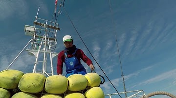 漁師って、カッコいい！展 予告