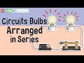 Effects of Adding Bulbs in Series
