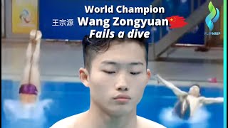 2018 Wang Zongyuan 王宗源 & Wu Luxia 吴鲁贤 - Mens 3 meter double diving failed last dive
