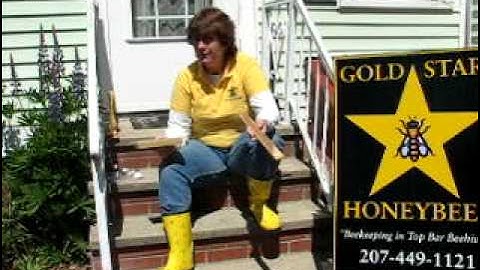 Tips & Tricks of starting bees in top bar hives, revised 5/6/2014