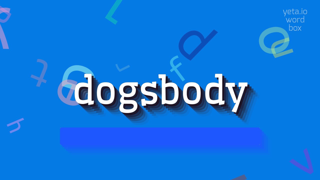 How to say "dogsbody"! (High Quality Voices) YouTube