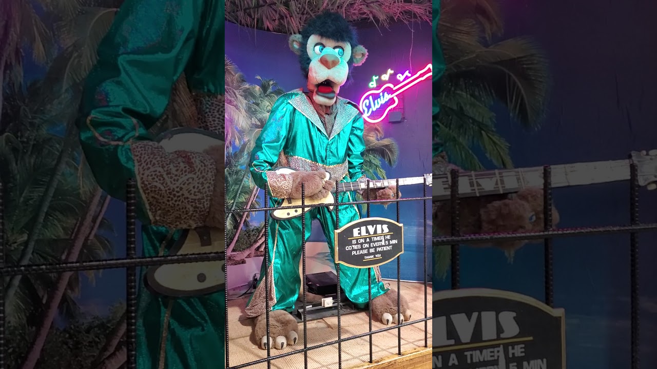 Jungle Jim's Elvis lion 2