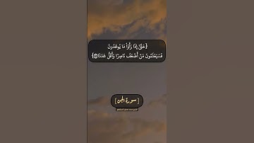 سورة الجن الآية ٢٢ الى ٢٥ بصوت الشيخ محمد صديق المنشاوي
