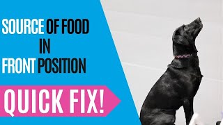 Competition Obedience Fronts: Quick Fix Source of Reinforcer
