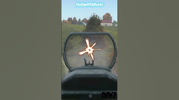 The LAR is not the best gun for some reason - DayZ Official