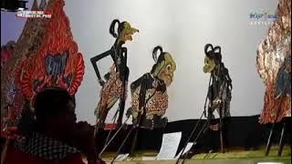 Selendang sutra kuning,gudril Banyumasan,&kopi lendot bersama pengendang putri @firdha