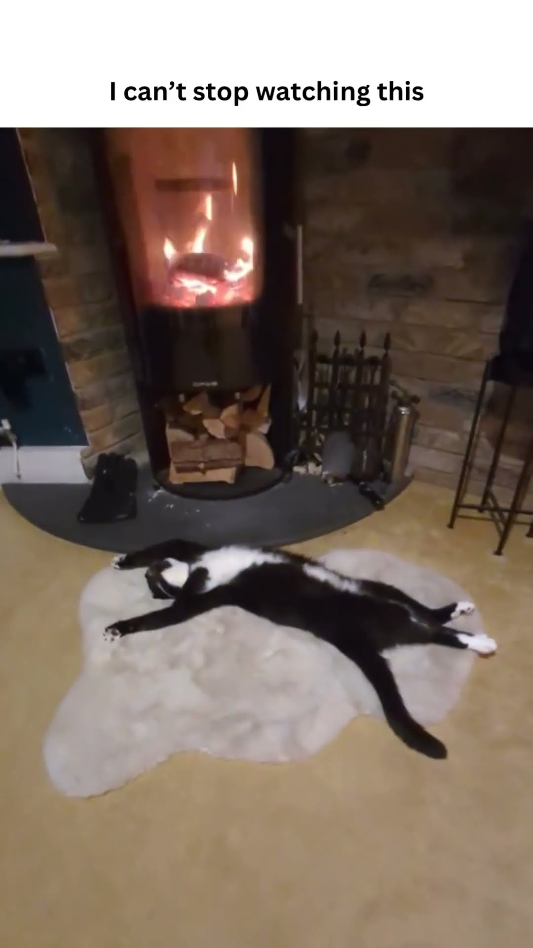 Kittyo is laid out like yooo you can’t even tell what I’m doing I just paid rent