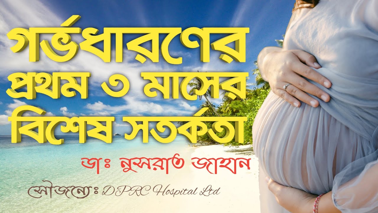 গর্ভধারণের প্রথম ৩ মাসের সতর্কতা। First 3 Months Pregnancy Care