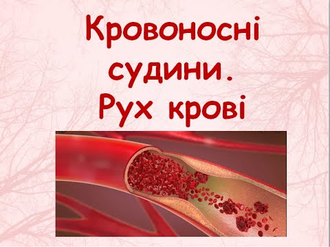 Кровоносні судини