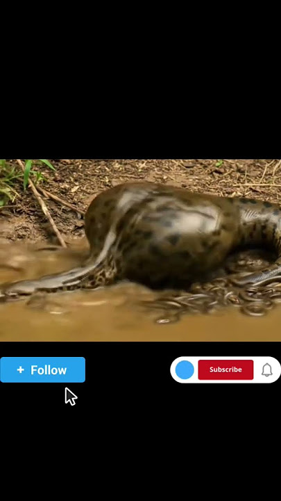 https://youtu.be/7kFuwboENk4?si=6_3JLnncd421QVRK