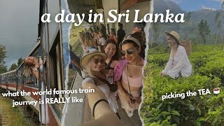 TRAVEL VLOG 🇱🇰 tea plantation, a Sri Lankan cooking class & the world’s most scenic train journey🚂