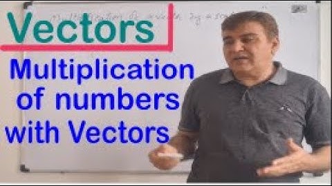 Multiplication of vectors by a real number