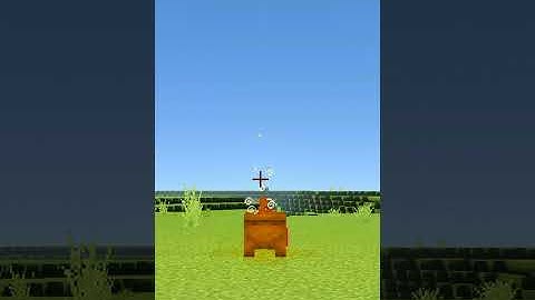 Weird Minecraft Logic that will Actually Blow your Mind (#1) | Minecraft | #Shorts