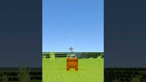 Weird Minecraft Logic that will Actually Blow your Mind (#1) | Minecraft | #Shorts