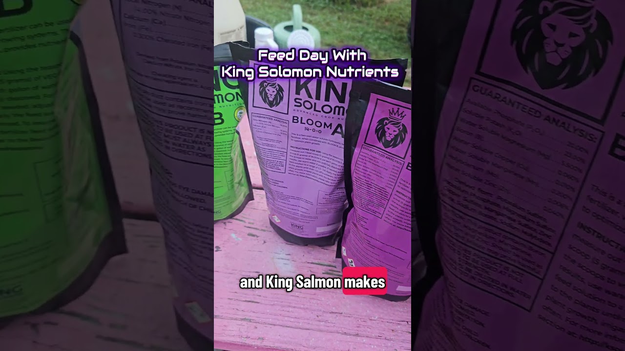 The King Solomon nutrient kit from Rooted Intellect makes feeding simple 