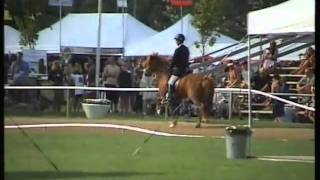 Ingimar Frá Mjölkurpósti, Wc03V1