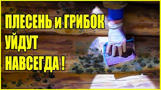 КАК УБРАТЬ ПЛЕСЕНЬ С ДЕРЕВА. СПОСОБ КОТОРЫЙ МНЕ ПОМОГ!