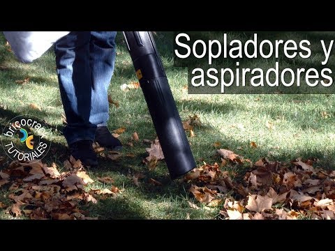 Video: Soplador de gasolina o aspirador de jardín. Características y consejos de selección