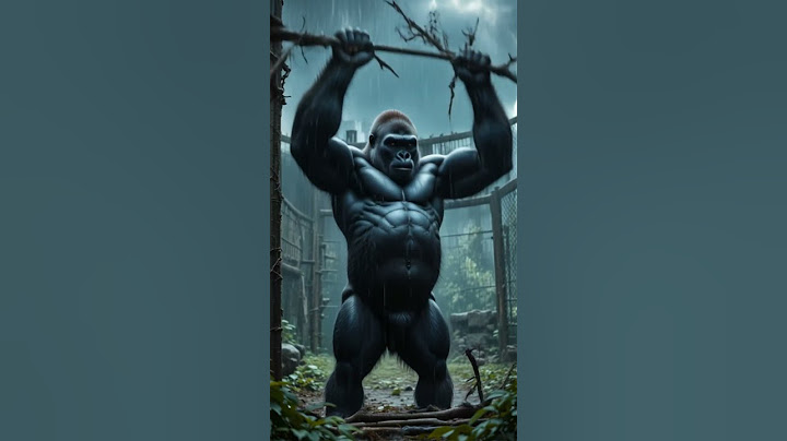 Bullied Gorilla’s Revenge Will Shock You