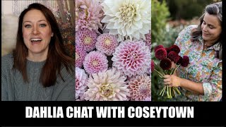 Dahlia Chat with Coseytown Flowers : NEW Varieties!  Flower Hill Farm