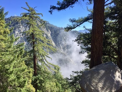 Mt Wilson Hike
