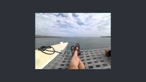 Blogging With John Chow