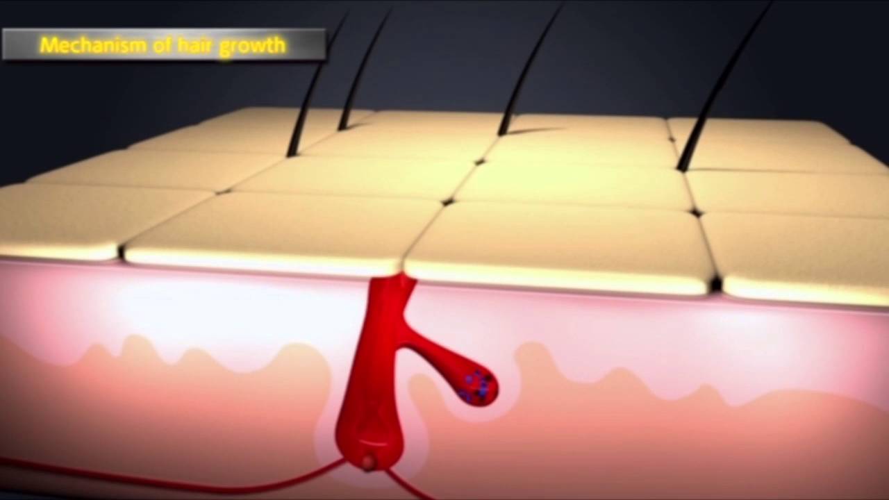 Medigrow - Hair Restoration Treatment