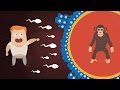 Can Humans and Chimpanzees Have Babies? | Animal Human Hybrids Explained