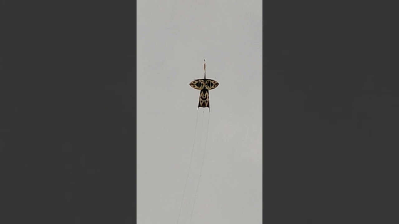 Merak jadul almarhum muhammad di tebangkan oleh cucunya ajeng di pinggir danau lampulung ❤️