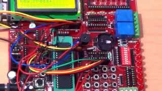 Celebrity 8051 hex keypad Interface Profile