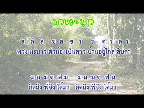 ซาวด์ซ้อมดีดพิณพร้อมโน้ต / เพลงพวงมะนาว Am