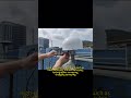 GEMS GNSS 3D Choke Ring Antenna 3D185， Full-band Systems Supported，gnss antenna， suvery antenna
