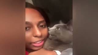 IMPOSSIBLE TRY NOT TO LAUGH  Best Funniest Catss Video 2024