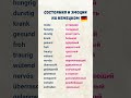 15 состояний и эмоций на немецком за минуту 15 состояний и эмоций на немецком за минуту