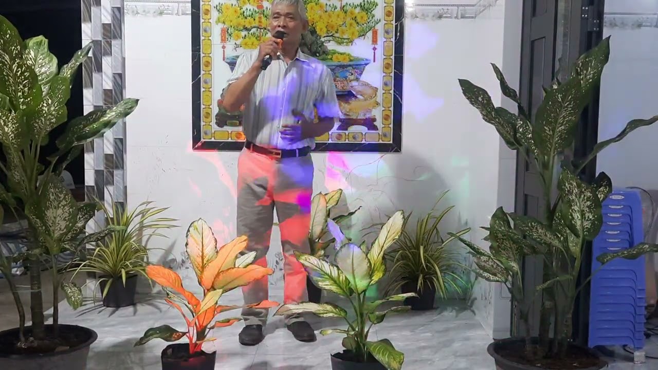 TINH YEU TRA LAI TRANG SAO _ TuTro  _   (25 tháng 11, 2025)