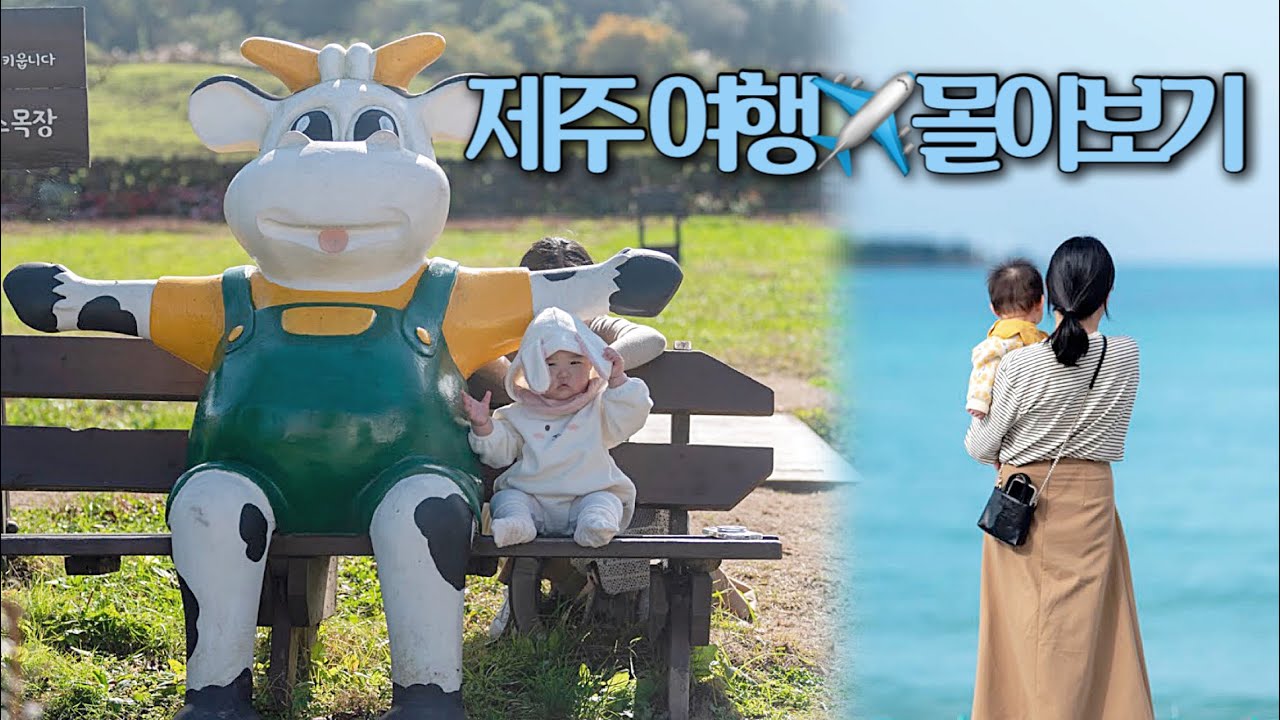 9개월 아기랑 제주도 여행✈️ 몰아보기!, 제주도민 남편의 찐 맛집 소개