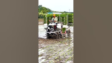 future of paddy transplanter machines 😱😱 #shorts #youtubeshorts #trendingshorts #viralshorts