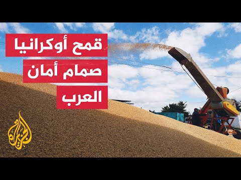 مؤتمر دولي في ألمانيا لبحث مسارات تصدير الحبوب من أوكرانيا