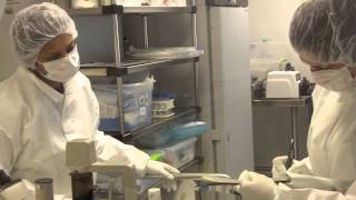 Producing Viral Vectors for Clinical Trials With On-Site Clinical Manufacturing Facility