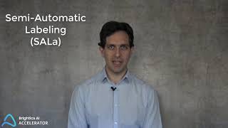 Semi-Automatic Labeling and Segmentation