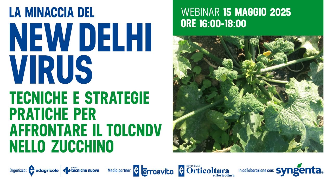 Webinar: La minaccia del New Delhi Virus