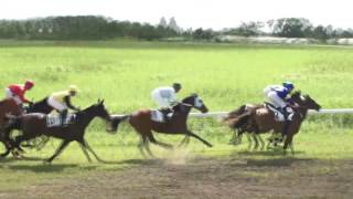 Vidéo de la course PMU PRIX DE L'EPIPHANIE