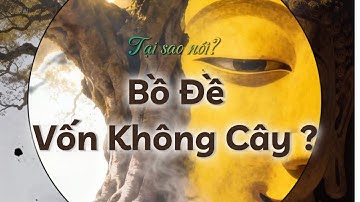 Sự Thật Về Giác Ngộ: "Bồ Đề Vốn Không Cây" Nghĩa Là Gì? | Khám Phá Câu Kệ Đốn Ngộ Thay Đổi Đời Bạn