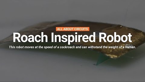 Roach Inspired Robot