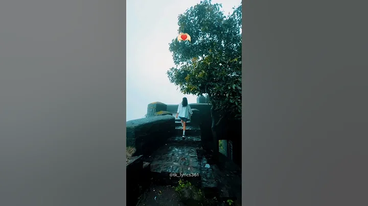 MERE YAARA | LYRICS VIDEO | 🌼🥰❤️#shorts