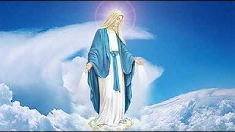 Lễ Đức Mẹ Vô Nhiễm Nguyên Tội (09/12/2019) Lm Giuse Nguyễn Ngọc Bích, DCCT