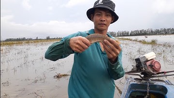 đẩy côn-mới vô đã dính cá bự rôi-mưu sinh mùa nước nổi về miền tây/tập 7