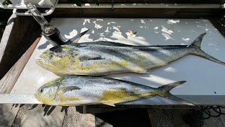Things to do in Florida - Offshore Fishing and bonus content **Gyotaku Fish Printing**