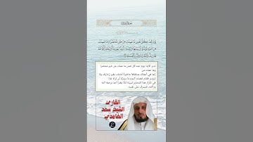 الآية(30) من سورة آل عمران//القارئ الشيخ سعد الغامدي