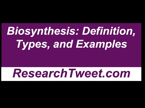 ಜೈವಿಕ ಸಂಶ್ಲೇಷಣೆ: ವ್ಯಾಖ್ಯಾನ, ವಿಧಗಳು ಮತ್ತು ಉದಾಹರಣೆಗಳು